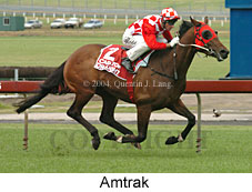 Amtrak (18507 bytes)