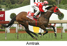 Amtrak (18507 bytes)