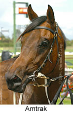 Amtrak (18507 bytes)