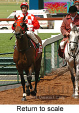 Return to scale (17769 bytes)