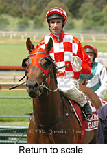 Return to scale (17769 bytes)