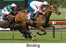 Binding (18507 bytes)