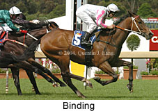 Binding (18507 bytes)