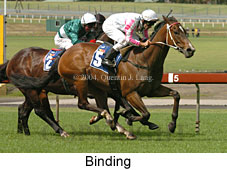 Binding (18507 bytes)