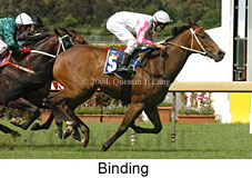 Binding (18507 bytes)