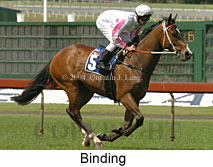 Binding (18507 bytes)