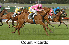 Count Ricardo (17555 bytes)