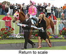 Return to scale (17769 bytes)