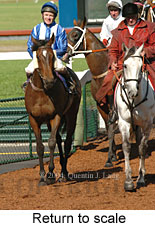 Return to scale (17769 bytes)