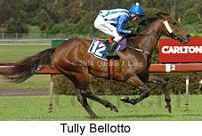 Tully Bellotto (18507 bytes)