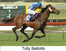 Tully Bellotto (18507 bytes)