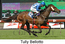 Tully Bellotto (18507 bytes)