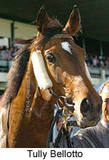 Tully Bellotto (18507 bytes)