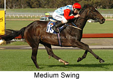 Medium Swing (18507 bytes)