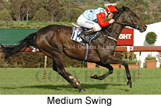 Medium Swing (18507 bytes)