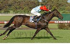 Medium Swing (18507 bytes)