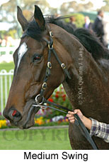 Medium Swing (18507 bytes)