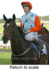 Return to scale (17769 bytes)