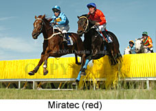 Miratec (14872 bytes)