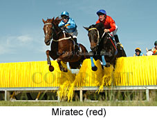 Miratec (14872 bytes)