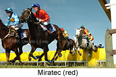 Miratec (14872 bytes)