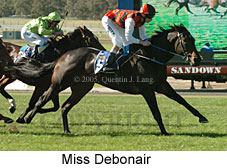 Miss Debonair (14872 bytes)