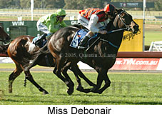 Miss Debonair (14872 bytes)