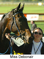 Miss Debonair (14872 bytes)