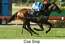 Cos Snip (14872 bytes)