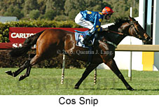 Cos Snip (14872 bytes)