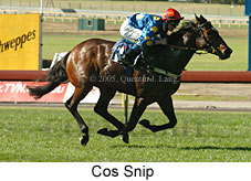 Cos Snip (14872 bytes)