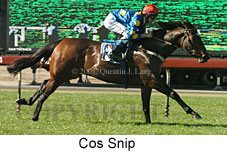 Cos Snip (14872 bytes)