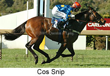 Cos Snip (14872 bytes)