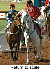 Return to scale (15361 bytes)