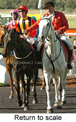 Return to scale (15361 bytes)