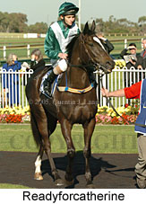 Readyforcatherine (14872 bytes)