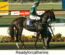 Readyforcatherine (14872 bytes)