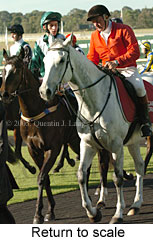 Return to scale (15361 bytes)