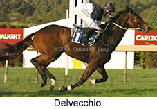 Delvecchio (14872 bytes)