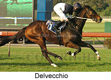 Delvecchio (14872 bytes)