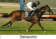 Delvecchio (14872 bytes)