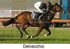 Delvecchio (14872 bytes)