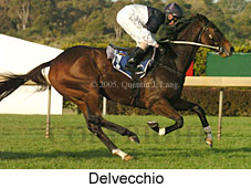 Delvecchio (14872 bytes)