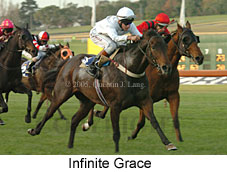 Infinite Grace (14872 bytes)