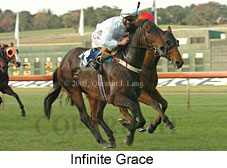 Infinite Grace (14872 bytes)