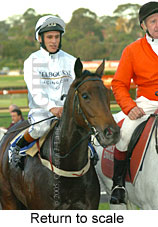 Return to scale (15361 bytes)