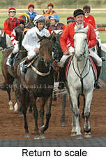 Return to scale (15361 bytes)