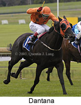 Dantana (13524 bytes)