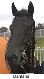 Dantana (9891 bytes)