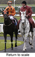 Return to scale (14340 bytes)